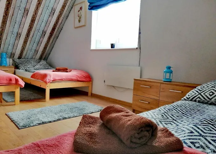 Lawendowy Zakatek Na Gwizdowce Zalakowo